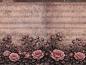 Preview: Roses and Notes - Bordüre - Jersey